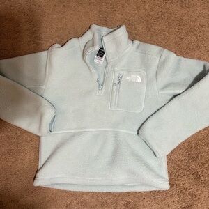 The North Face Women’s Yumiori 1/4 Zip Pullover Muted Pine XS